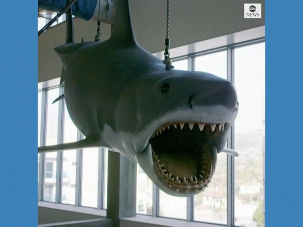 Bruce The Last Jaws Shark Docks At La Museum Gma