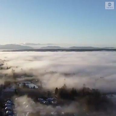 Drone footage captured snow on rooftops and fog looming in the forests over Duvall, Washington. 