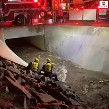 Orange County firefighters saved the pair in Santa Ana, California.