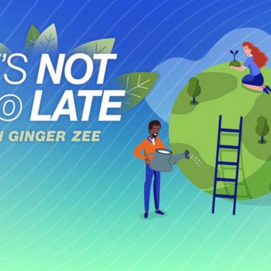 VIDEO: 'It’s Not Too Late' with Ginger Zee: Green Spring cleaning