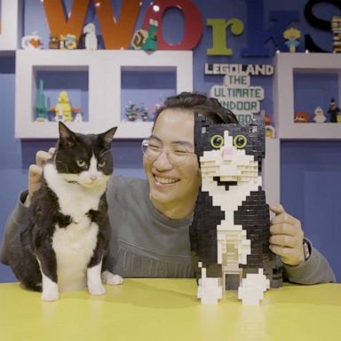 VIDEO: Confused cat meets her Lego doppelgänger