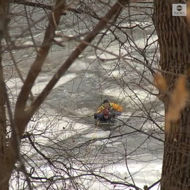 According to the Minneapolis Fire Department, the woman went out on the ice after her dog and fell through.