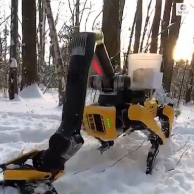 Boston Dynamics revealed their latest robot that can play jump rope, operate switches and pick up objects ranging from laundry to cinder blocks.