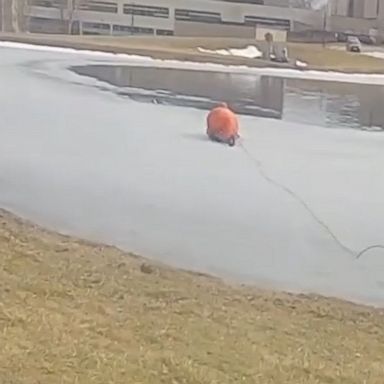 Watch the ecstatic moment a firefighter rescues a dog from a frozen pond in Ohio.