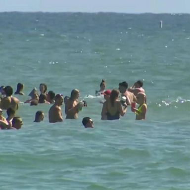 VIDEO: ABC News Live Update: Health officials concerned over spring break surge