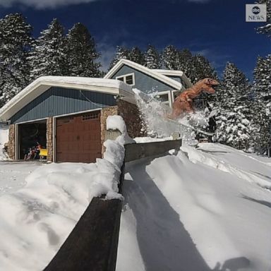 A Colorado man in a T. rex costume ski jumped from his roof after heavy snowfall in the region.