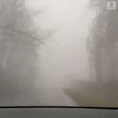 A driver was caught in a terrifying storm with extremely low visibility, as multiple tornado warnings were in effect.