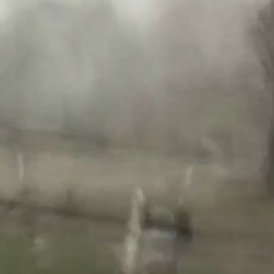 Dramatic storm footage shows high winds amid reports of deadly tornadoes that destroyed homes in Alabama.