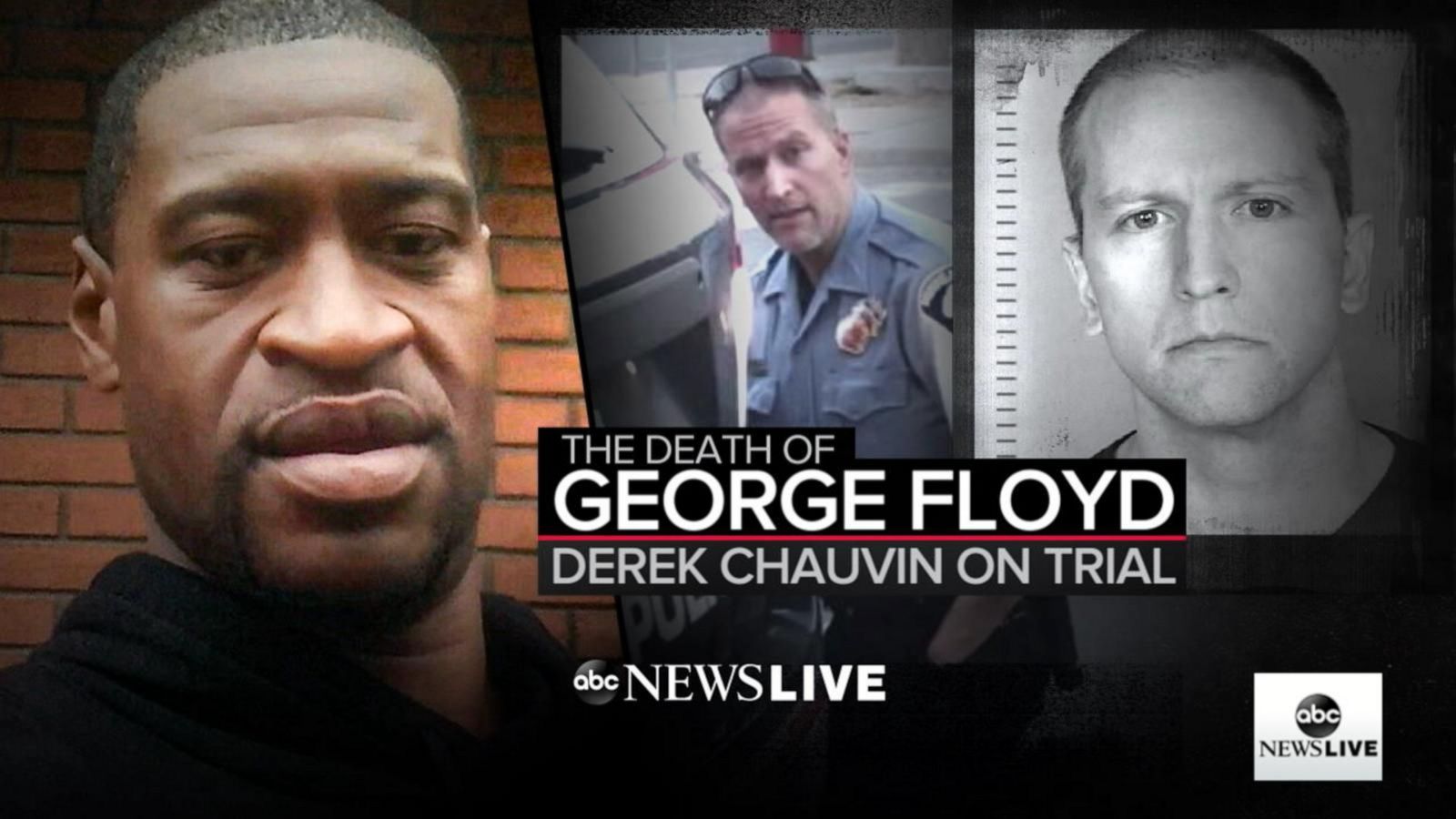The Death of Floyd Day 12 recap of Derek Chauvin's trial Good