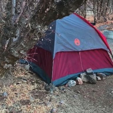 A "resourceful" 47-year-old woman missing for months has been found alive in a tent in Utah County, Utah, telling officials she foraged for grass and moss to survive.