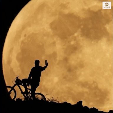 People around the globe stayed up to watch a cosmic event called a "super flower blood moon" -- a combination of a total lunar eclipse and a brighter-than-usual supermoon.