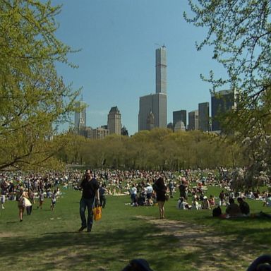 Mayor Bill de Blasio called the August event, “a citywide moment to declare that New York City is back.”