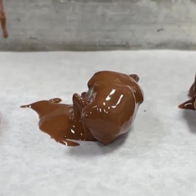 PHOTO: Would you try this chocolatier's unique creation - chocolate-covered cicadas?