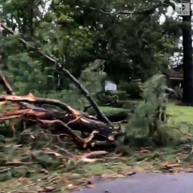 Tropical Storm Claudette damaged homes, downed trees and scattered other debris across yards and roads in East Brewton.