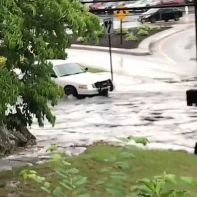 A Rhode Island driver learned the hard way that their car is not a boat.