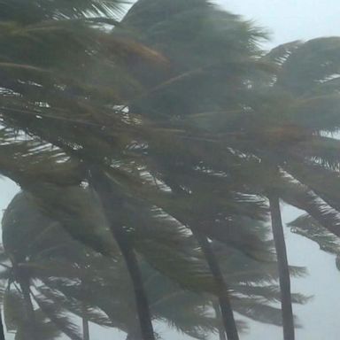 VIDEO: ABC News Live Update: Tropical Storm Elsa weakens ahead of landfall 