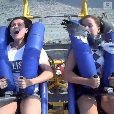 Two girls celebrating a birthday got a surprise visitor while riding at an amusement park in New Jersey.