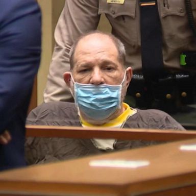 Weinstein, 69, faces four counts each of forcible rape and forcible oral copulation, two counts of sexual battery by restraint and one count of sexual penetration by use of force, the Los Angeles County district attorney said.