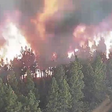 The Fly Fire, which is just east of the Dixie Fire, grew to 4,300 acres on July 24 and was 5% contained, officials said.