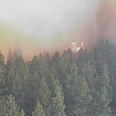 VIDEO: Timelapse: Wildfire cam captures moment it's engulfed by flames