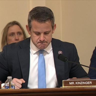 VIDEO: Rep. Adam Kinzinger delivers emotional plea before House Select Committee