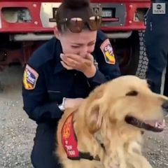 Air Force sergeant reunited with puppy he adopted overseas