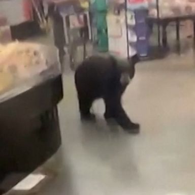 A bear wandered into a supermarket in suburban Los Angeles before being chased away by staff. The bear was later tranquilized and relocated to a safer habitat.