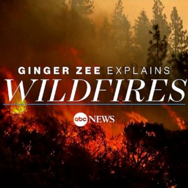 ABC News Chief Meteorologist Ginger Zee explains how wildfires start, how they affect the environment and whether they are becoming more common due to climate change.