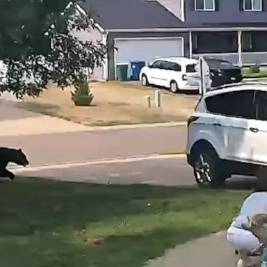 A bear put a scare into a couple of Minnesota teens.