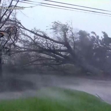 VIDEO: ABC News Live: Louisiana hit hard after Ida makes landfall as Category 4 hurricane