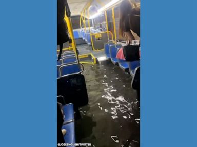 WATCH: Floodwaters inundate New York City bus