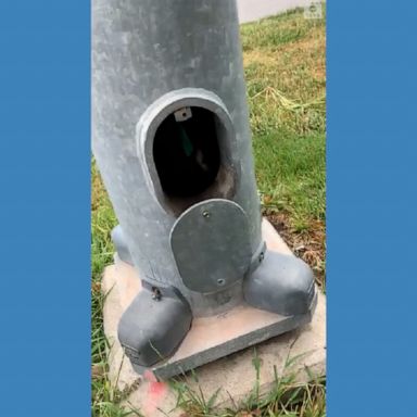 A technician was dispatched and rescued an adorable kitten trapped inside the pole in Lincoln.