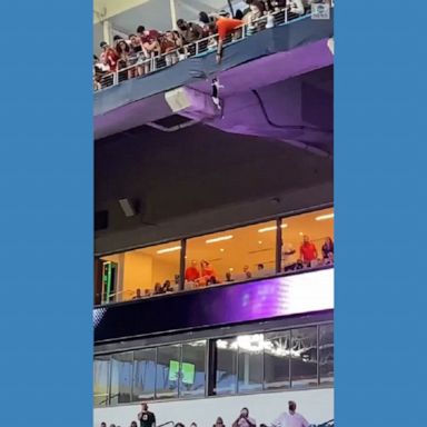 Miami Hurricanes fans safely saved a cat that dangled and fell into the crowd from the upper level of the stadium.