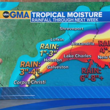 Tropical storm warnings have been issued for portions of the Texas coastline as the system strengthened late Sunday morning.