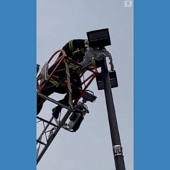 California firefighter helps free tangled seagull