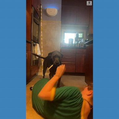 A woman in New York tried playing a prank on her dog by pretending to choke, but the pet’s reaction backfired.