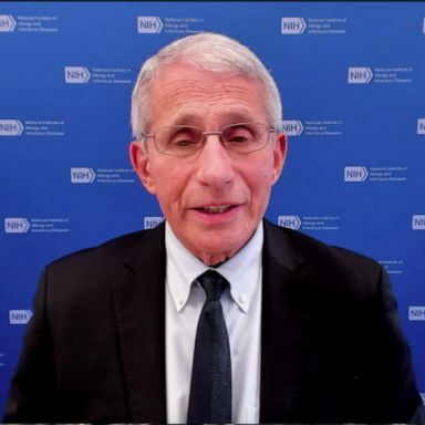 VIDEO: Fauci on state of the pandemic: 'We are certainly seeing a turnaround'