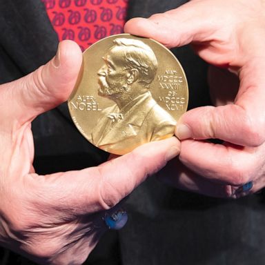 Since 1901, the Nobel Peace Prize has been awarded to individuals or groups who promote peace and prosperity through their work.