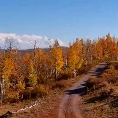 A stunning blanket of autumn leaves covered the landscape in northern Utah as captured in drone footage.