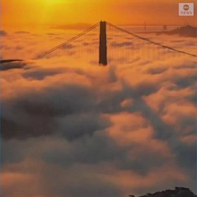 A stunning timelapse of dense morning fog rolled over the San Francisco Bay. 