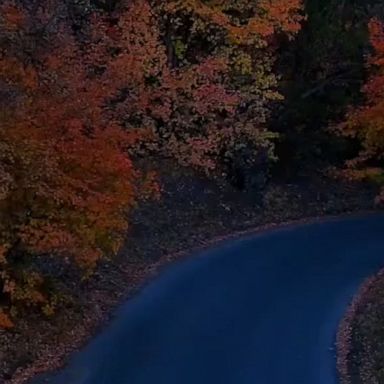 It doesn't get more beautiful than the vibrant fall foliage in Butterfield Canyon, Utah, captured by a drone.