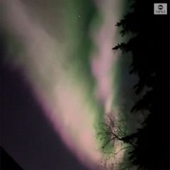 Aurora borealis lights up Alaska night sky