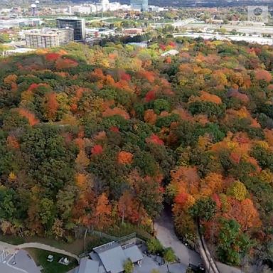 A drone captured fabulous fall colors above the Milwaukee County Zoo.