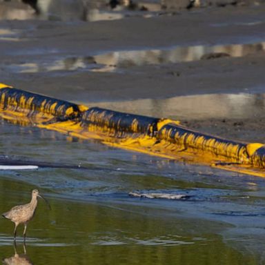 VIDEO: Massive oil spill defaces California coast