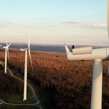 VIDEO: 'It's Not Too Late': Harnessing the power of wind energy