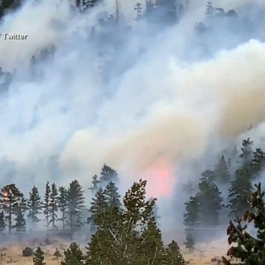 The blaze was sparked when high winds blew a tree onto a powerline.