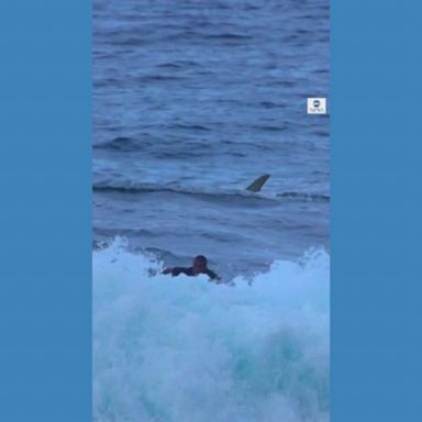 A surfer got a fright after seeing a shark fin cutting through the water.