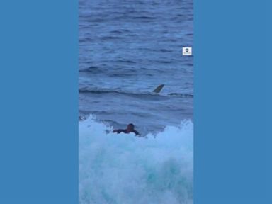 WATCH: Surfer has close call with shark