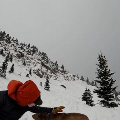 Two college students, Bobby White and Josh Trujillo, found a dog buried in an avalanche while backcountry skiing on Berthoud Pass in Colorado.