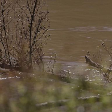 VIDEO: Emmett's body found in Tallahatchie River